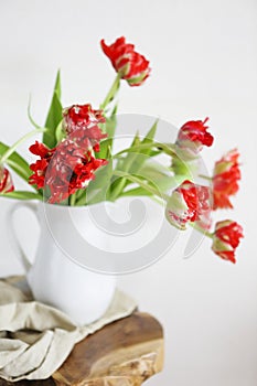 Tulips bouquet in white vase on wooden rustic chair photo