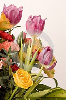 Tulips, Carnations & Roses