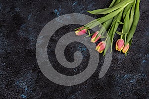 Tulips on darken concrete background photo