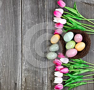 Tulips and eggs on vintage wooden planks for Easter Background