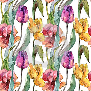Tulips floral botanical flowers. Watercolor background illustration set. Seamless background pattern.