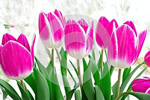 Tulips flower bouquet. Generative Ai