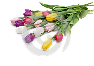 Tulips flowers background