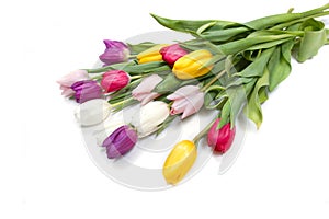 Tulips flowers background