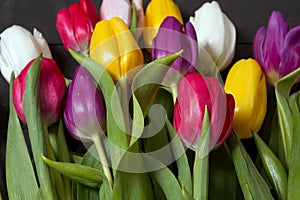 Tulips flowers background