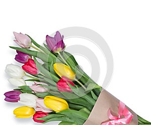 Tulips flowers background