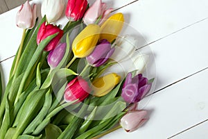 Tulips flowers background