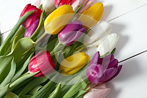 Tulips flowers background