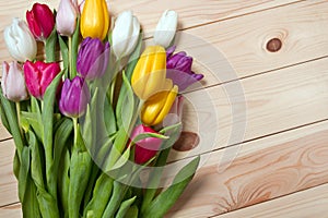 Tulips flowers background