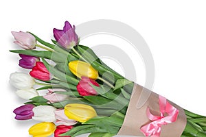 Tulips flowers background