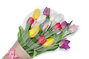 Tulips flowers background