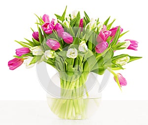 Tulips flowers bouquet in vase, white background