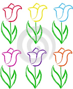 Tulips flowers illustration vector set