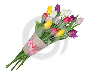 Tulips flowers isolated on white background