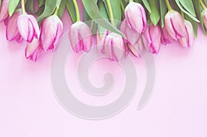 Tulips flowers on pink background. Flat lay, top view. Lovely greeting card with tulips for Mother`s day, wedding or happy event