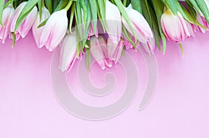 Tulips flowers on pink background. Flat lay, top view. Lovely greeting card with tulips for Mother`s day, wedding or happy event