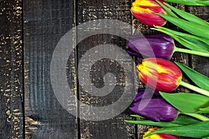 Tulips flowers wooden board