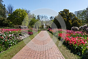 Tulips and Fountains at Longwood