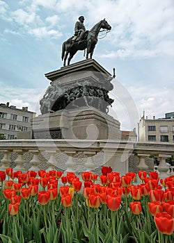 Tulips in front of Alexander II