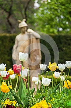 Tulips in front of antique statue on spa island in Piestany SLO