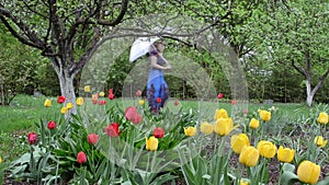 Tulips garden woman wet