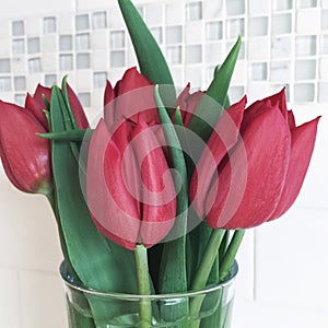 Tulips in a Glass