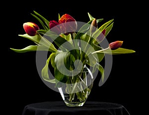 Tulips in a glass vase