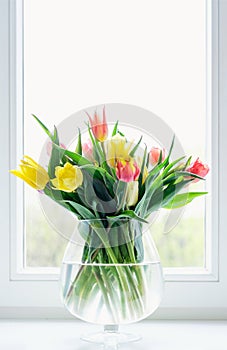 Tulips in glass vase