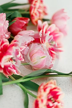 Tulips on grey stone background. Happy Valentines day and happy mother\'s day bouquet. Stylish beautiful floral wallpaper.