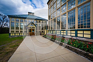 Tulips and the Howard Peters Rawlings Conservatory at Druid Hill