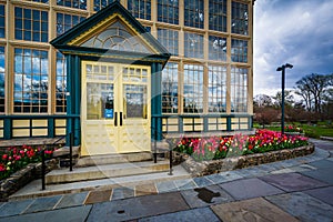 Tulips and the Howard Peters Rawlings Conservatory at Druid Hill