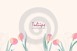 Tulips line arts background