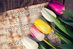 Tulips on a music notes paper