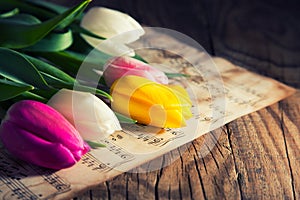 Tulips on a music notes paper