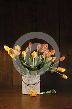 Tulips in old bucket