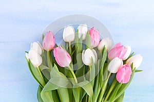 Tulips on pastel blue watercolor background