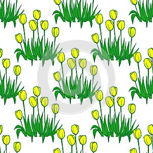 Tulips pattern on white seamless background.