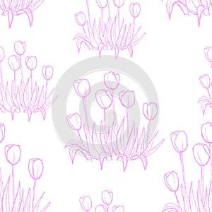 Tulips pattern on white seamless background.