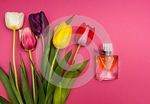 Tulips and perfume on pink background