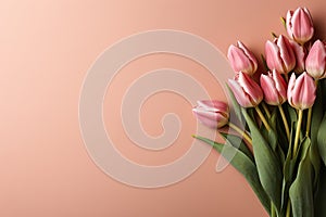 tulips on pink background, copy space Card for Mothers day, 8 March, Happy Easter. Waiting for spring