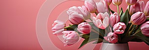 tulips on pink background, copy space Card for Mothers day, 8 March, Happy Easter. Waiting for spring