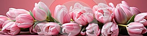 tulips on pink background, copy space Card for Mothers day, 8 March, Happy Easter. Waiting for spring