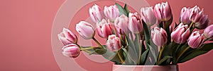 tulips on pink background, copy space Card for Mothers day, 8 March, Happy Easter. Waiting for spring