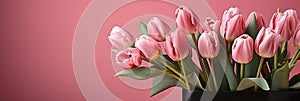 tulips on pink background, copy space Card for Mothers day, 8 March, Happy Easter. Waiting for spring