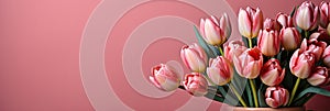 tulips on pink background, copy space Card for Mothers day, 8 March, Happy Easter. Waiting for spring