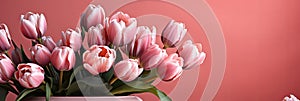 tulips on pink background, copy space Card for Mothers day, 8 March, Happy Easter. Waiting for spring