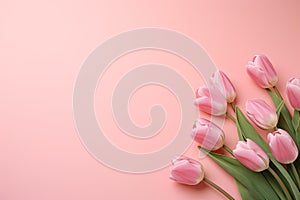 tulips on pink background, copy space Card for Mothers day, 8 March, Happy Easter. Waiting for spring