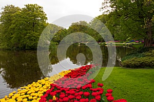 Tulips at the pond in the Keukenhof in spring 2022 in Lisse, the Netherlands