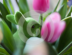 Tulips and rabbit