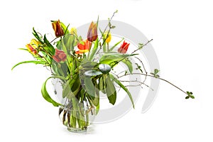 Tulips in red and yellow with spring branches as a bouquet in a glass vase isolated with small shadows on a white background,